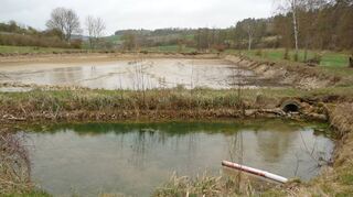 Der Bärensee in Althausen im April. Jetzt wurde die Sanierung des Dammes beschlossen.