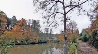 Das Bild entstand am oberen Lochbachsee und zeigt neben den Biberschäden auch den unterwanderten und daher einbruchgefährdeten Weg.