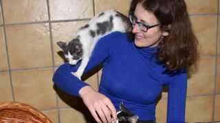 Die Mutter dieser Katzenkinder wurde überfahren – um sie kümmert sich jetzt das engagierte Team des Tierheims Bad Mergentheim, zu dem auch Jasmin Paul (Bild) gehört.