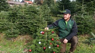Mit kleinen Weihnachtsbäumchen möchte die Familie Stich aus Steinbach Menschen im Ahrtal eine Freude machen und hofft auf Unterstützung aus der Region Neckar-Odenwald.