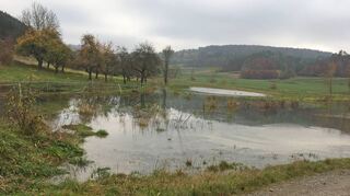 Der neu entstandene Bibersee am Rand von Dainbach.