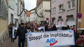 Rund 250 Teilnehmer der AfD-Versammlung wendeten sich in Bad Mergentheim gegen die Impfpflicht.