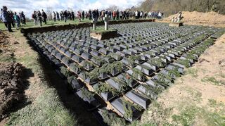 Auf der Kriegsgräberstätte Stare Czarnowo (Neumark) in Polen haben bereits mehr als 1800 Kriegstote ihre letzte Ruhe gefunden.