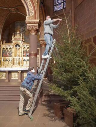 Die Helfer der KjG beim Stellen der Weihnachtsbäume.