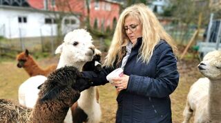 Täglich schaut Kerstin Dressel nach ihren Alpakas. Gemeinsam mit Tobias Tschöp will sie die Tiere zu Therapie- Entspannungs- und Bildungszwecken einsetzen.