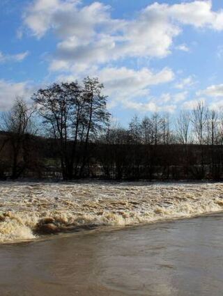 Strudel und Strömungen bei Dittigheim.