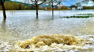 Strudel und Strömungen bei Dittigheim.