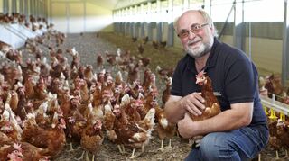 Seit rund einem Jahr setzt sich Bernhard Dambach mit seinem Geflügelhof durch die Teilnahme an der Initiative „Huhn & Hahn“ für das Tierwohl ein. Bereits vor dem offiziellen Verbot des Tötens männlicher Küken haben die beteiligten Betriebe sich dafür stark gemacht, dass die jungen Hähne aufgezogen werden.