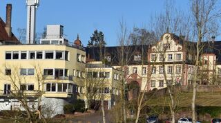 Die Baumreihen lichten sich am bayerischen Ufer.