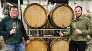 Die Reicholzheimer Philipp und Florian Ehrlenbach haben vor zwei Jahren einen Winzerbetrieb gegründet. Zum ersten Mal fahren sie den Lohn ihrer Arbeit ein.