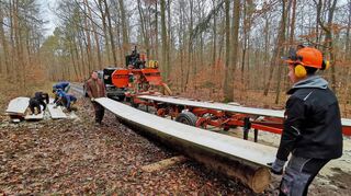 Die Achtklässler Ben und Tobias haben ganz schön zu tragen an dem 35 Millimeter dicken Brett. Das Buchenholz soll Reparaturarbeiten dienen. Der Einsatz der Schüler erfolgt im Rahmen des Pilotprojekts „Schulwald“.
