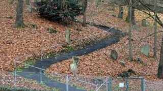 Der Hauptweg des Jüdischen Friedhofs wird ab März saniert.