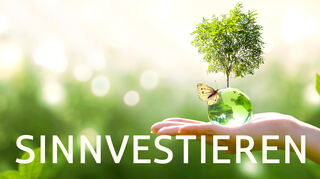„Sinnvestieren“ ist eine Wortschöpfung aus „sinnvoll“ und „investieren“.