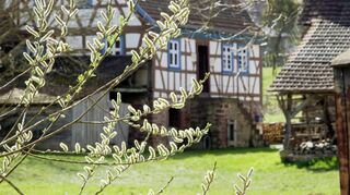 Das Odenwälder Freilandmuseum ist in die Saison gestartet.