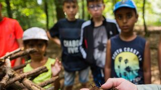 Komplexe Einblicke gibt’s im „Schulwald“.
