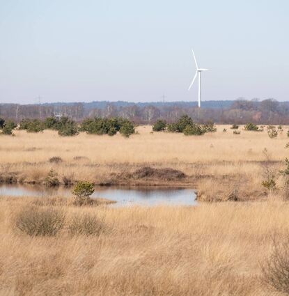 Moorflächen wie hier in Ströhen, Niedersachsen, können große Mengen CO speichern.