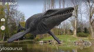 Der Tylosaurus schätzt ein feuchtes Habitat und ist deshalb am Ententeich im Bad Mergentheimer Schlosspark zu finden. Er gehört zu den noch nicht so oft entdeckten Sauriern der „Dino City“.