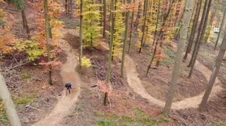 Der Flowtrail schlängelt sich durch den Wald bei Mosbach. Das Bild entstand in der Bauphase.
