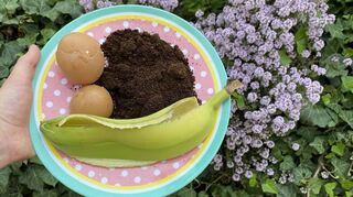 Wertvolle Ressourcen: Kaffeesatz, Bananen- und Eierschalen.