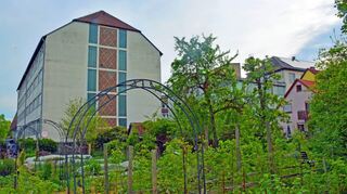 Blick auf den Laukhuff-Komplex vom Vorbachufer aus über die Gärten hinweg.