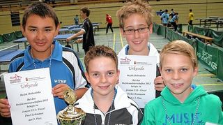<p>Die Erstplatzierten der Jungen U13: 2. Paul Lehmann (Satteldorf), 1. Tim Schweizer, 3. Heiko Reumann (beide Satteldorf) und 3. Timo Hernadi (Markelsheim).</p>