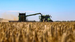 Die Ernte in der Metropolregion war bis jetzt unterdurchschnittlich.