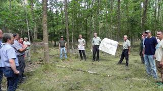 Unterwegs im Stadtwald: der Walldürner Gemeinderat bei der Waldbegehung.