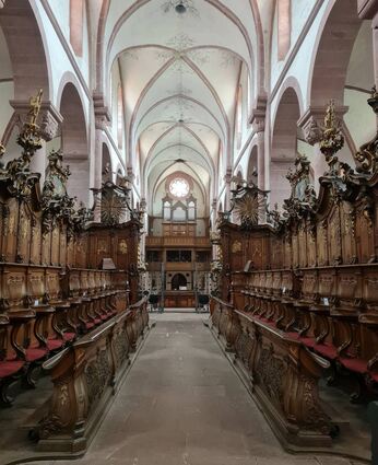 Das barocke Chorgestühl: Im Rahmen der Themenführung werden die dargestellten Personen und Symbole erklärt.