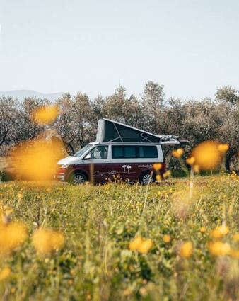 An besonderen Orten übernachten: Die Kurstadt ist Pilotpartner für so genannte „Roadsurfer Spots“.