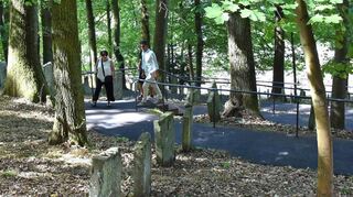 Die Wege auf dem jüdischen Friedhof sind jetzt wieder sicher.
