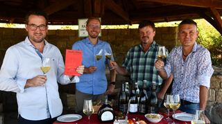Freuen sich über den Erfolg der Becksteiner Winzer im Gault Millau Genussguide für Baden-Württemberg: (von links) WG-Geschäftsführer Michael Braun, Kellermeister Florian Döller, Winzer Martin Baumann und Marketingleiter Michael Spies.