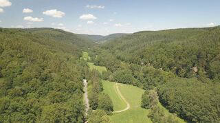 Knapp die Hälfte der Buchener Gemarkung ist bewaldet. Das ist auch ein Grund dafür, dass sich die Stadt mit zwei Aktionen an den deutschen Waldtagen beteiligt.
