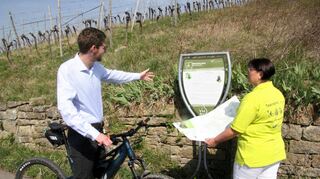 Alexandra Hagel von der städtischen Tourist-Info Lauda-Königshofen und Becksteins Ortsvorsteher Philipp Hahn inspizieren vor Ort eine der insgesamt 21 Infotafeln des Weinlehrpfads in Beckstein.