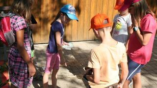 Die Kinder waren beim Geländespiel der Naturschutzjugend gefordert.