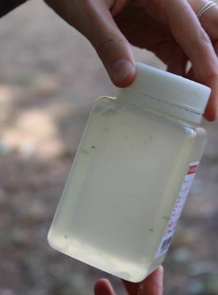 Die aus den Badeseen entnommene Wasserprobe wird von den Kontrolleuren visuell untersucht. Außerdem bestimmen die Experten unter anderem den pH-Wert.