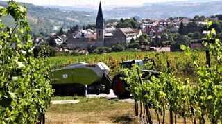 Für Ortsvorsteherin Kemmer hat Markelsheim aufgrund des Weinbaus und des Tourismus eine Sonderstellung in der Mergentheimer Stadtfamilie und ist mit rund 2100 Einwohnern der größte Stadtteil.