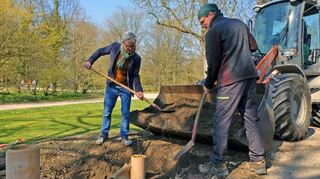 Eine Kastanienallee im Schlossgarten Schwetzingen: Hier werden klimaresistente Kastanien aus eigenen Sämlingen nachgepflanzt.