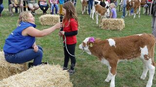 Fragen zum Kalb, seiner Fütterung und seinem Verhalten: Fünfzehn Kinder haben sich für den Kälbervorführwettbewerb angemeldet und sich gut auf ihr Sachgebiet gut vorbereitet.