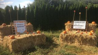 Das Kübisfest mit Krämermarkt findet in Schweigern zum elften Mal statt – am 11. September ist es soweit.