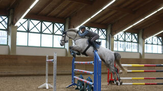 Fast jeden Tag reitet Denise Schurzmann – vielleicht auch mal beim Maimarkt-Turnier in Mannheim.