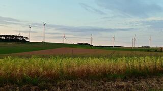 Die Fraktion von Bündnis 90/Die Grünen im Gemeinderat spricht sich für den Ausbau der Windkraftanlagen im Stadtgebiet aus, so wie hier bei Höhefeld.