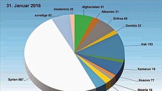 Belegung der Flüchtlingsunterkünfte im Main-Tauber-Kreis zum Stichtag 31. Januar 2016 nach Nationalitäten. Die Zahl der syrischen Flüchtlinge macht hier nahezu die Hälfte aus.