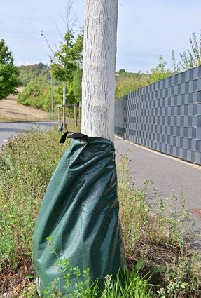 Mit solchen Gießsäcken begegnen die Kommunen dem Wassermangel an Bäumen. Sie geben das eingefüllte Wasser langsam an den Boden ab und ermöglichen so ein langsames Versickern.