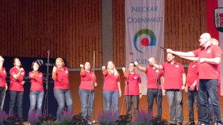 Setzten den musikalischen Auftakt sowie den Schlusspunkt: Der „Chor Royal“ aus Mosbach animierte das Publikum beim Ehrenamtsevent des Neckar-Odenwald-Kreises in der Walldürner Nibelungenhalle zum Mitsingen.