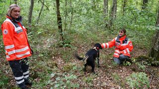 Cristina Römmelt (links) und Hündin Lilo von der DRK-Rettungshundestaffel Bad Mergentheim haben beim Trainingswochenende in Wolferstetten die Fährte einer im Wald vermissten Person aufgenommen. Nach der erfolgreichen Suche ist die ausgiebige Streicheleinheit verdient.