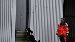 Nicht einfach zu finden: Hinter dem Container hat der Flächensuchhund eine Person gewittert.