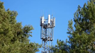Ein Mast mit Mobilfunk-Antennen steht hier zwischen Kiefern.