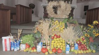 Festlich geschmückte Altäre zierten die Kirchen am Erntedankfest. Das Bild zeigt den Erntedankaltar der evangelischen St.-Georgs-Kirche Weikersheim, den Mesnerin Ute Dodson kunstvoll gestaltete.
