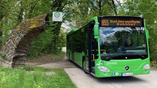 Von der Stadt in die Idylle: Mit dem Wildparkbus lässt sich ein Tag in der Natur mit vielen Tieren für die ganze Familie und ganz ohne Auto organisieren.
