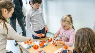 Die Schüler und Schülerinnen der Otfried-Preußler-Schule erhalten von der Peter-Hoffmann-Stiftung im zweiwöchigen Rhythmus Gemüse für ihren Speisezettel.